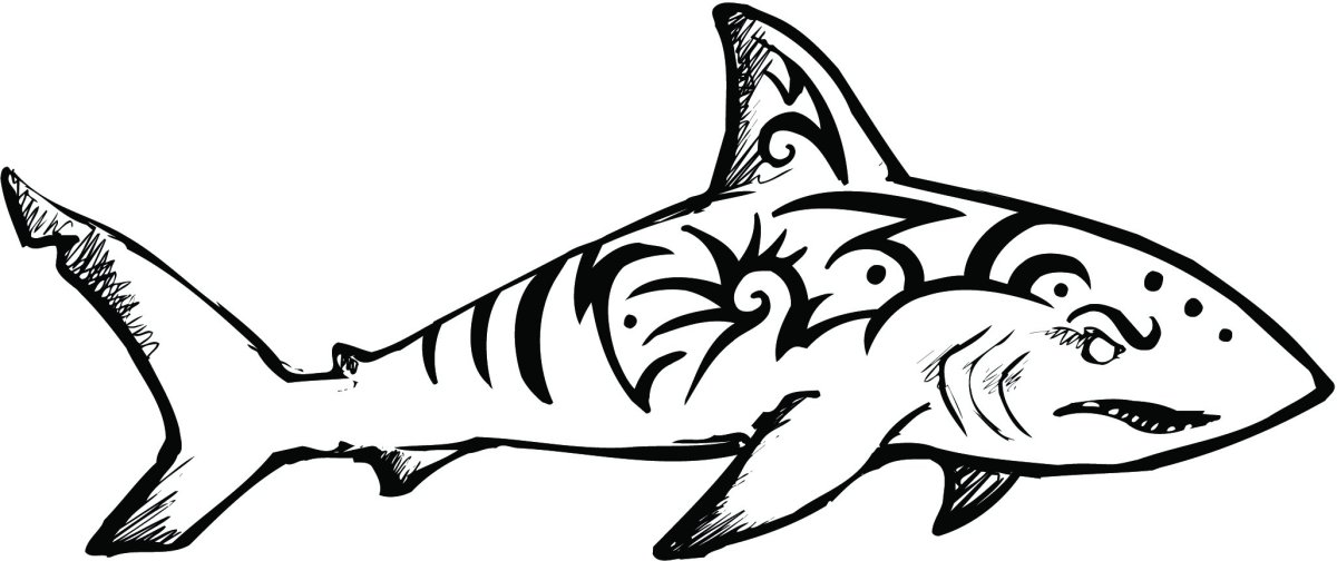 Маленькие рисунки акулы