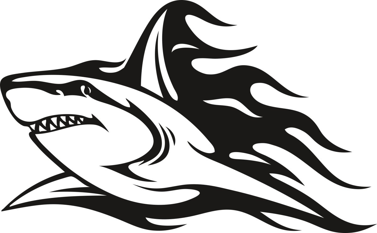 Акула тату на белом фоне