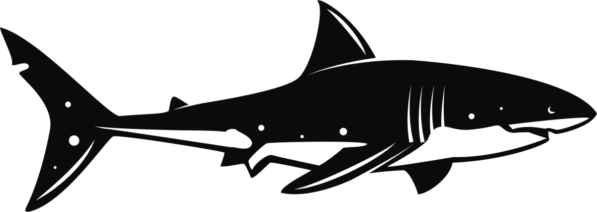 Наклейки "акулы"