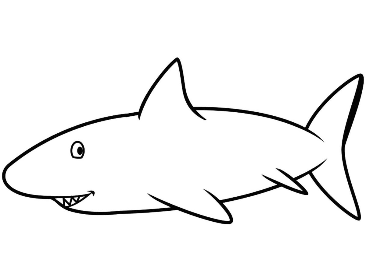 Акула контур