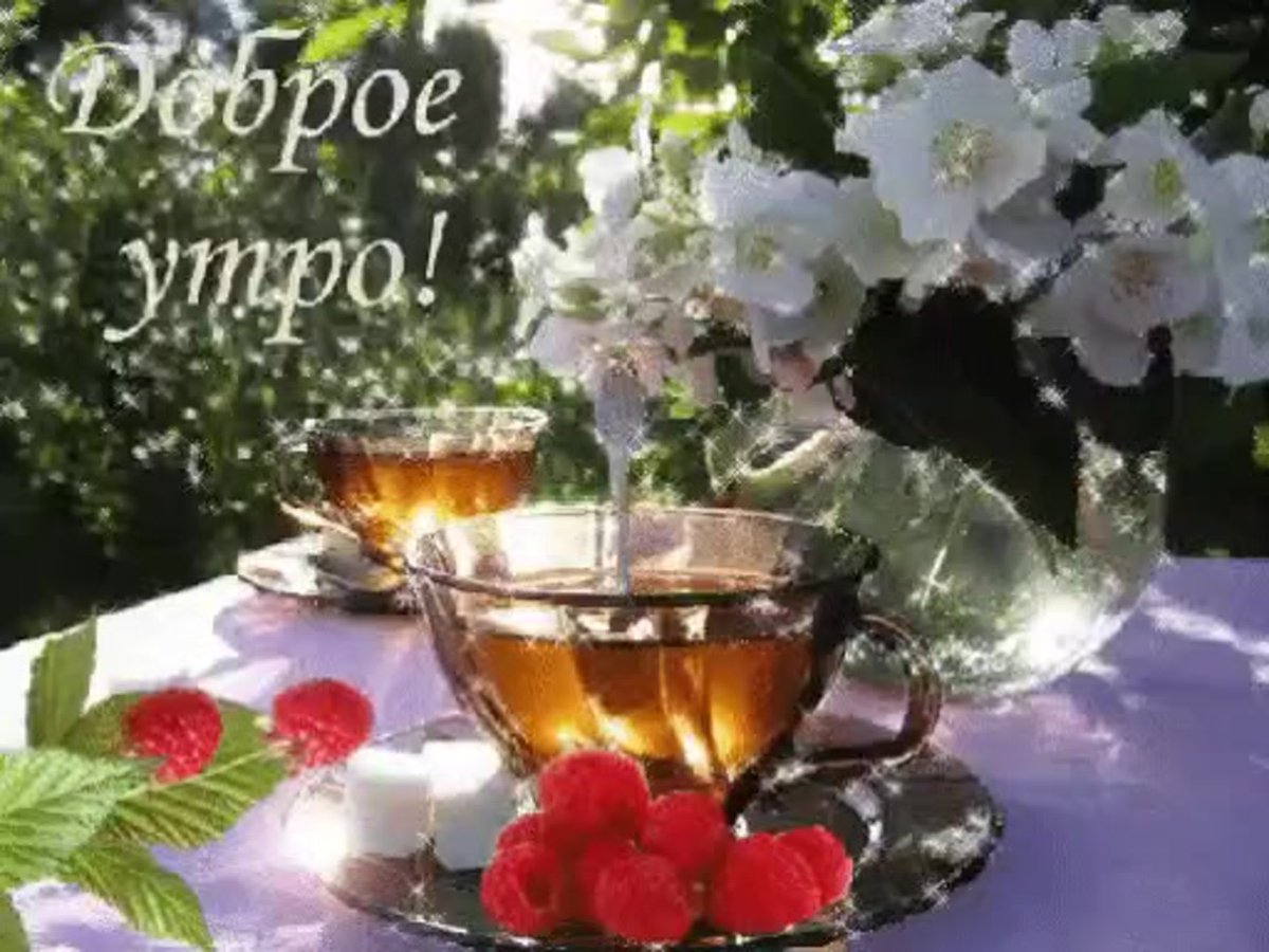 С добрым летним утром гифки красивые