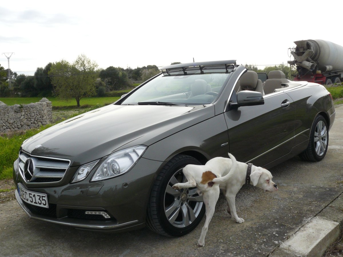 Мерседес прикол