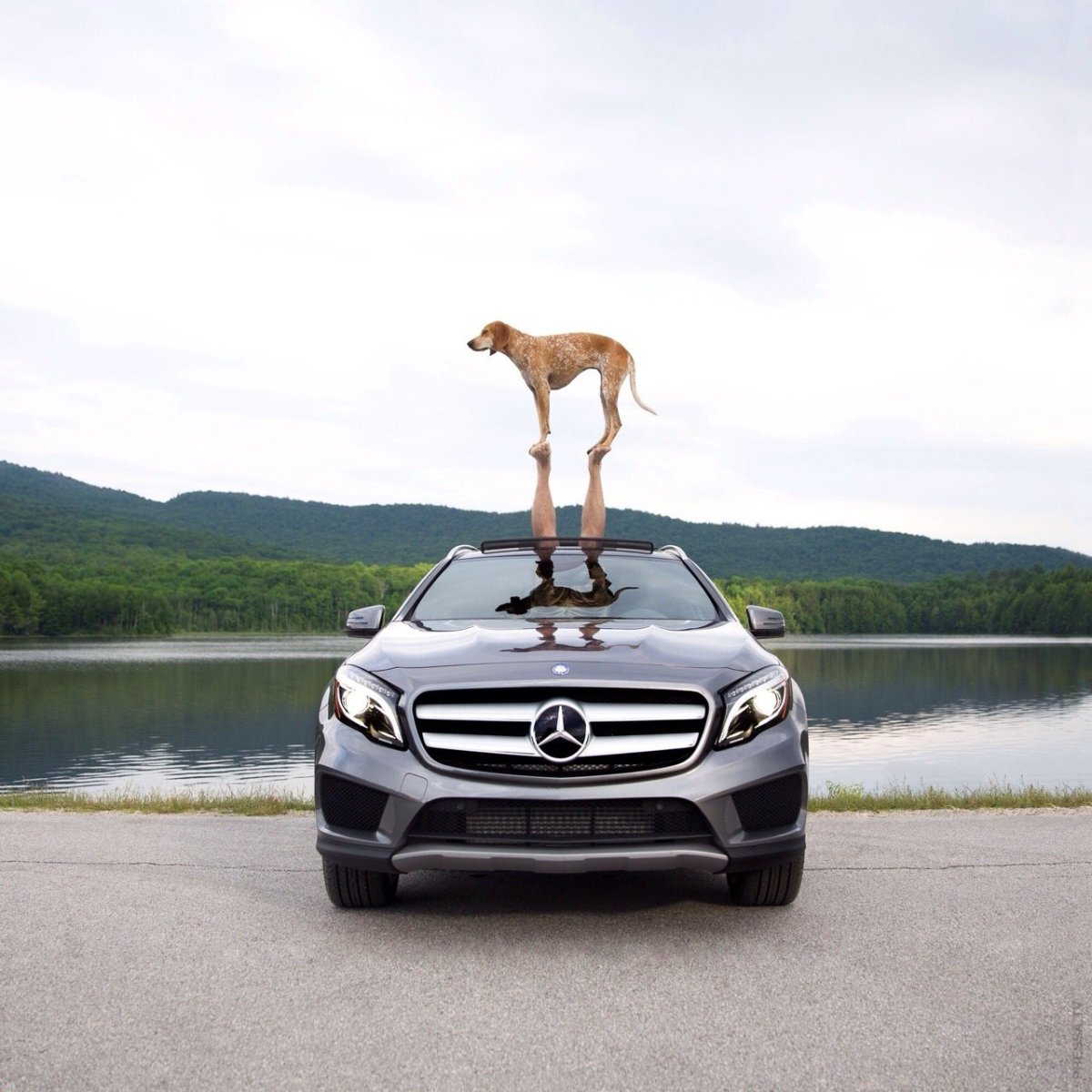 Мерседес прикол