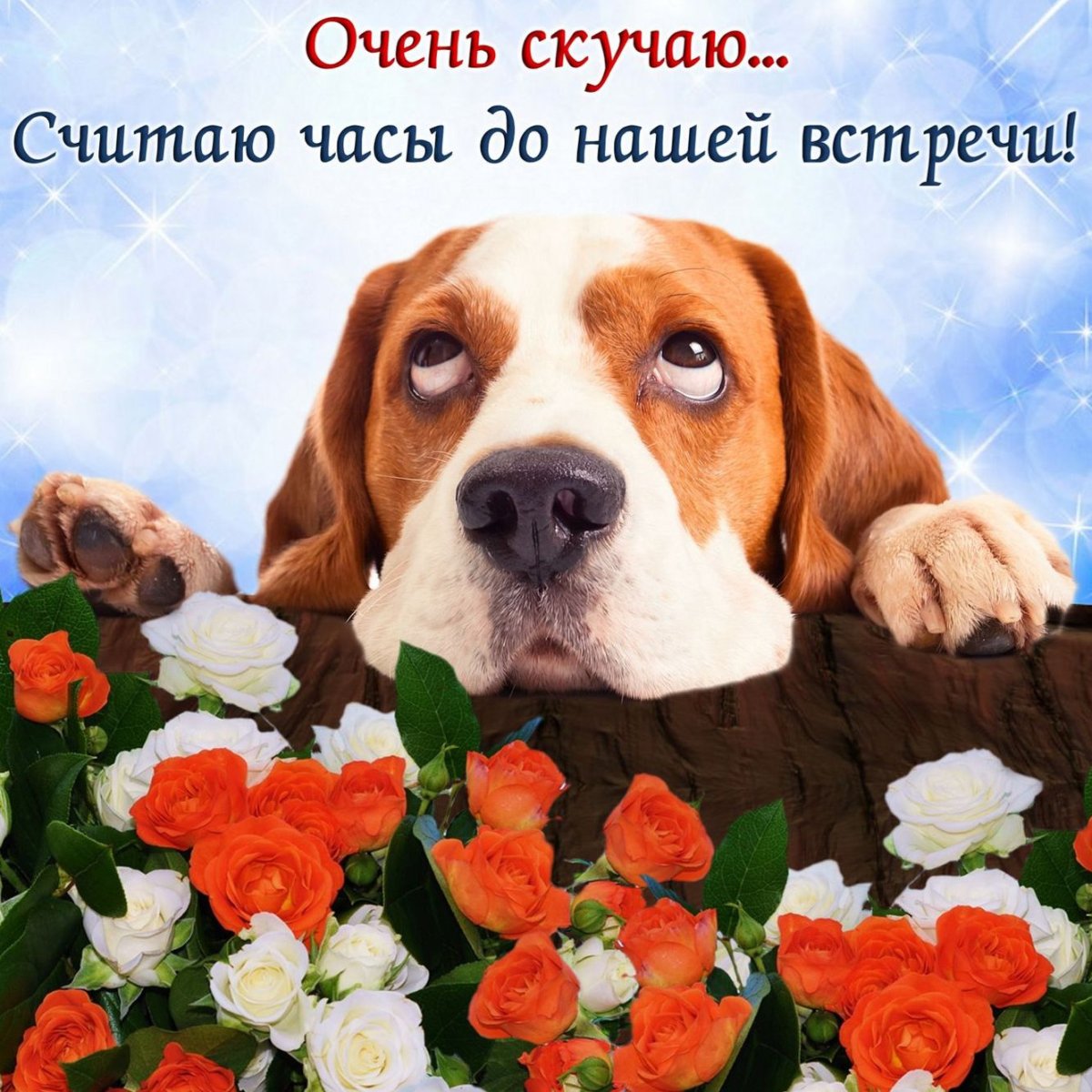 Скучаю по тебе