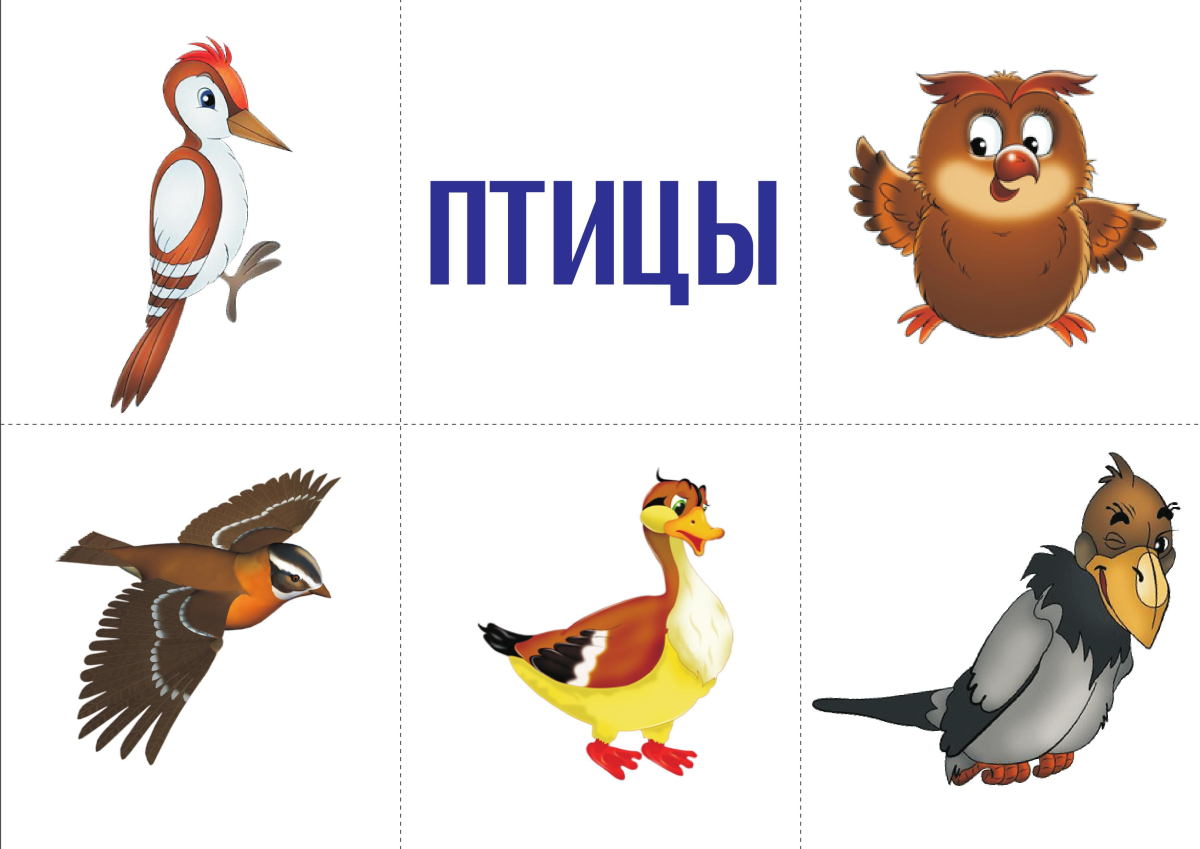 Домашние животные плакаты для детей