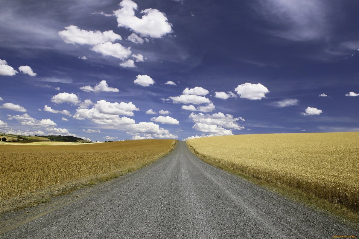 Поле у дороги