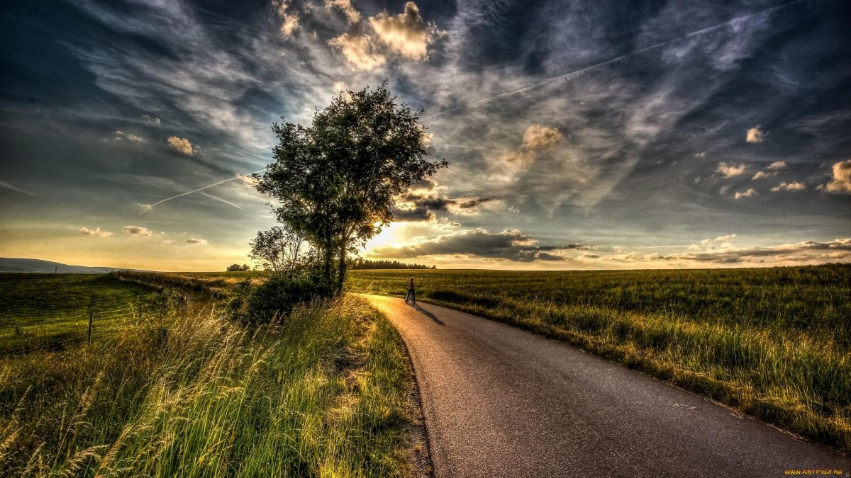 Дорога в поле