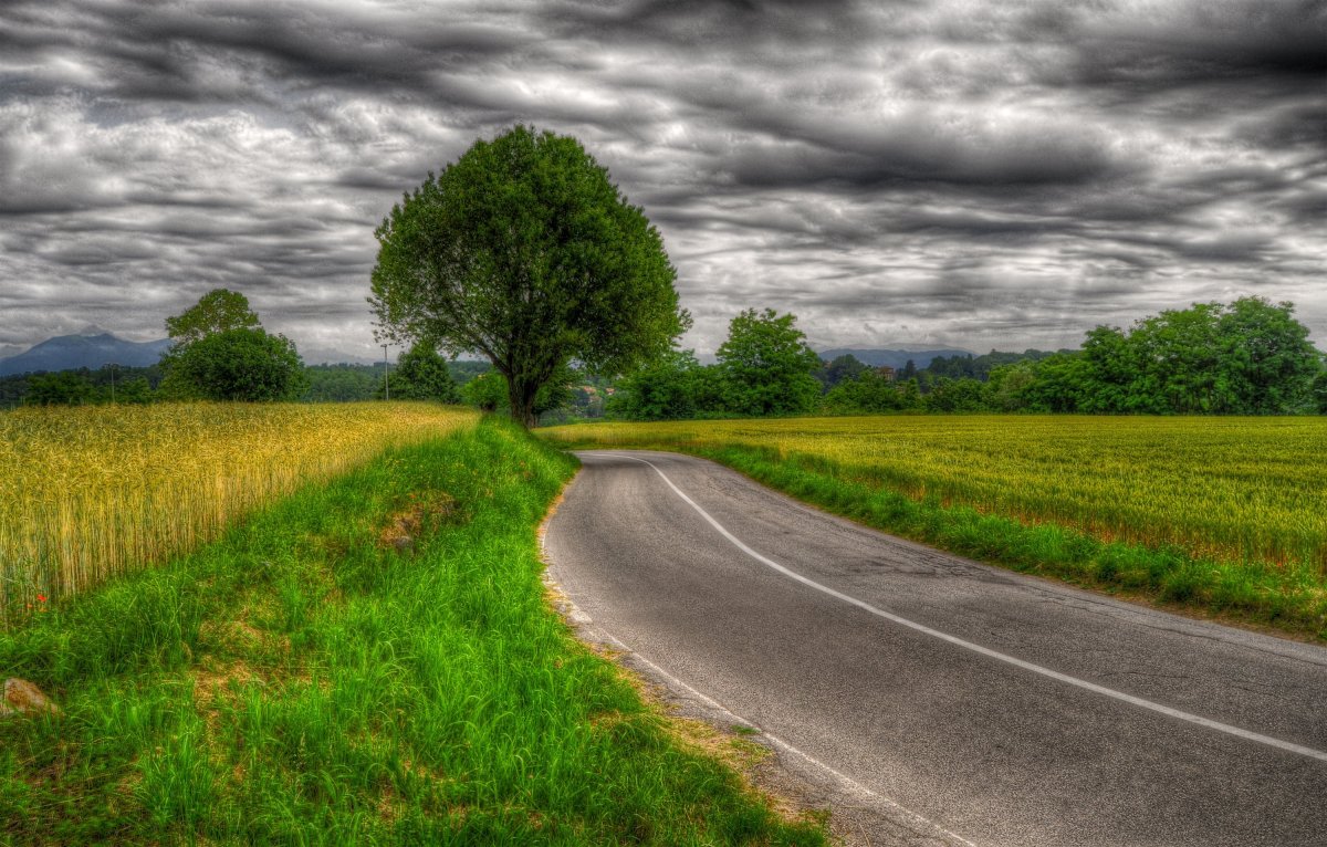 Поле с дорогой