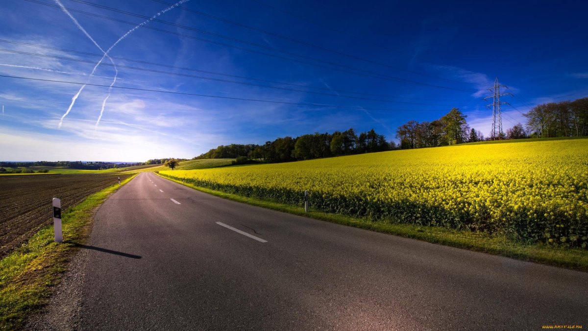 Дорога среди полей