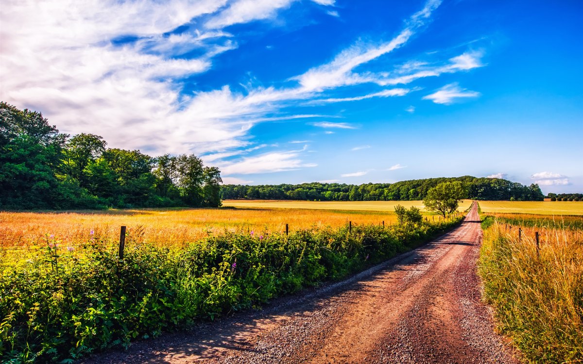 Природа поле