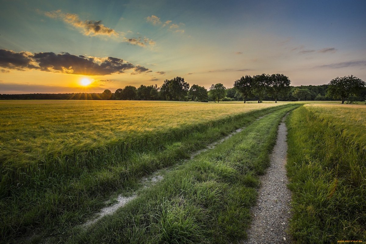 Природа поле