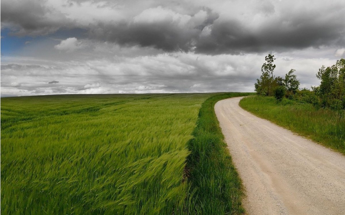 Проселочная дорога