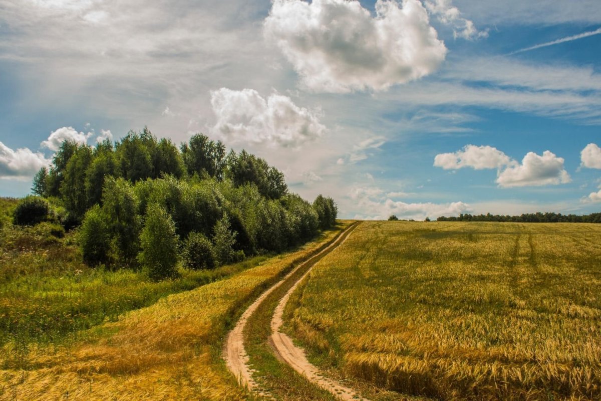Проселок Проселочная дорога