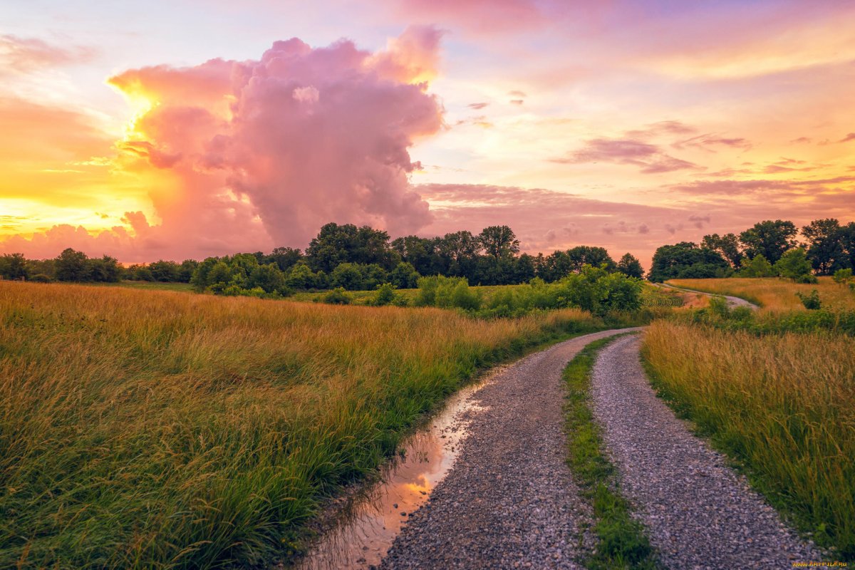 Дорога Проселочная лес поле