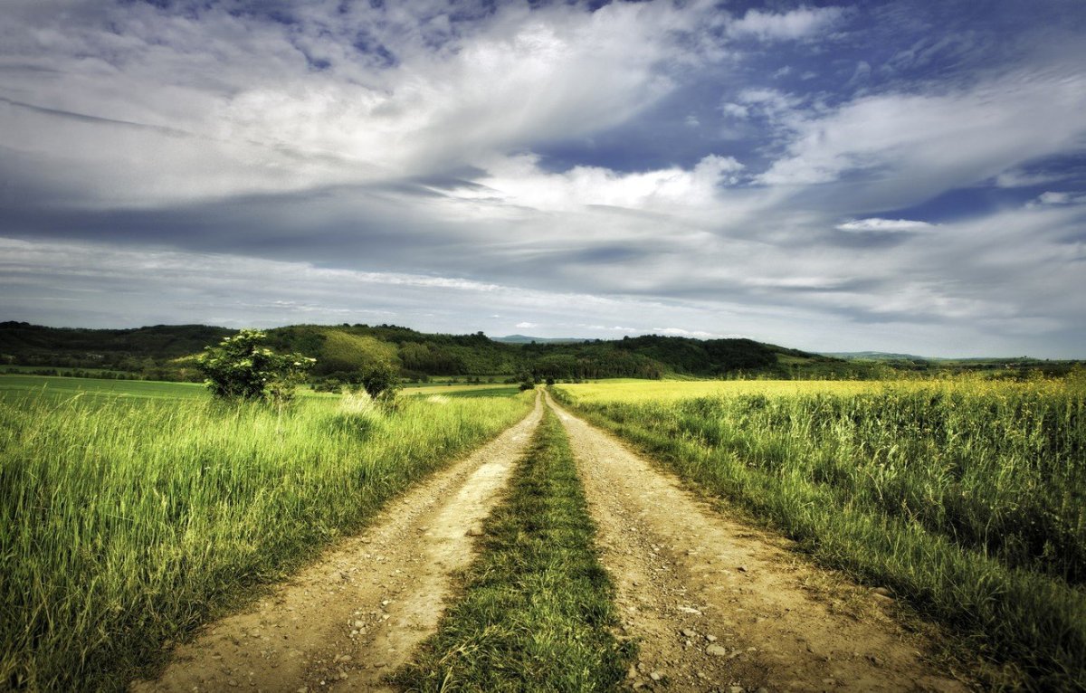 Поле с дорогой