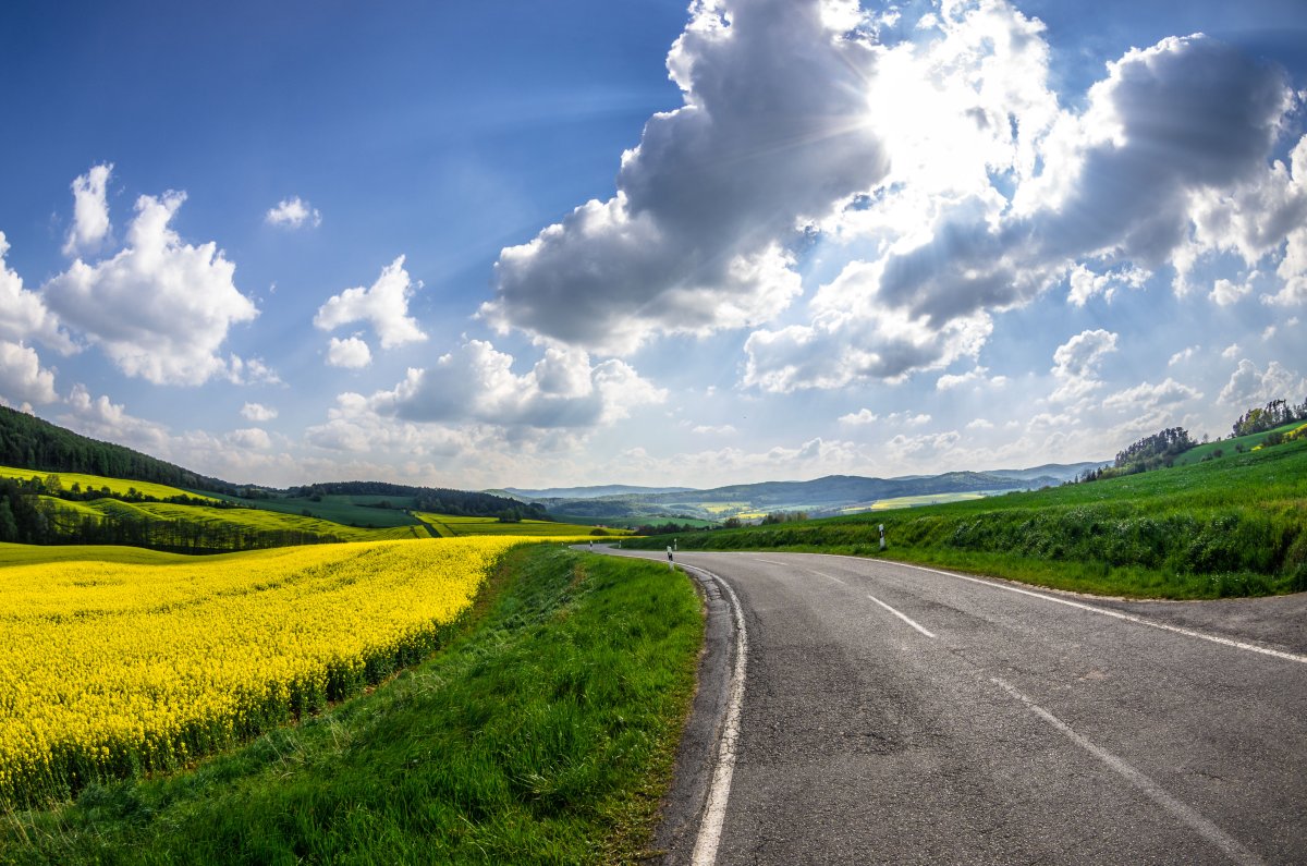 Пейзаж холмы дорога