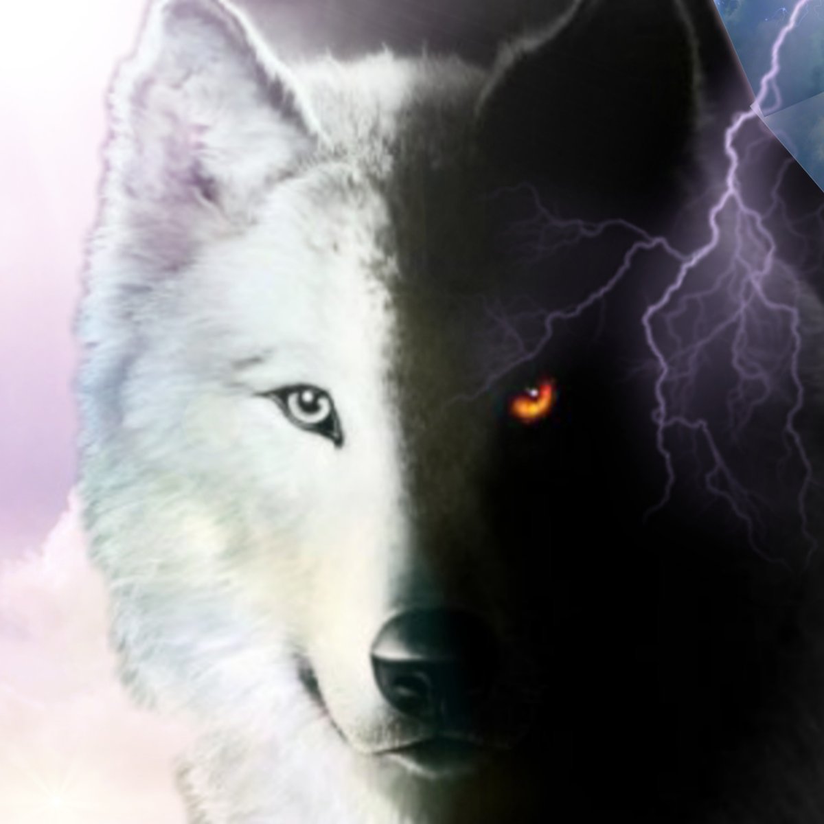 Красивый волк