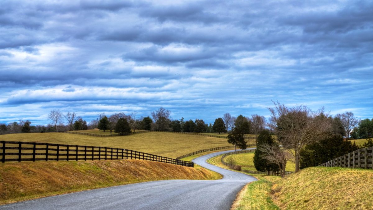 Пейзаж дорога