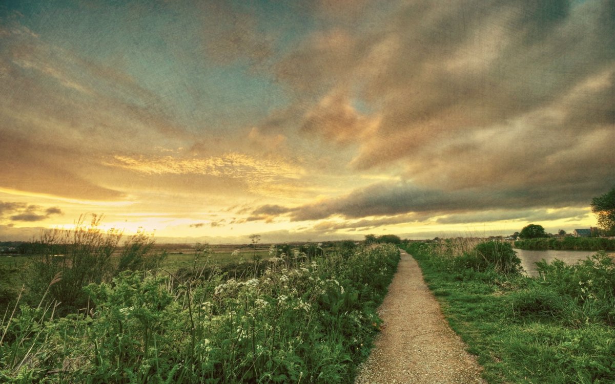 Дорожка в поле