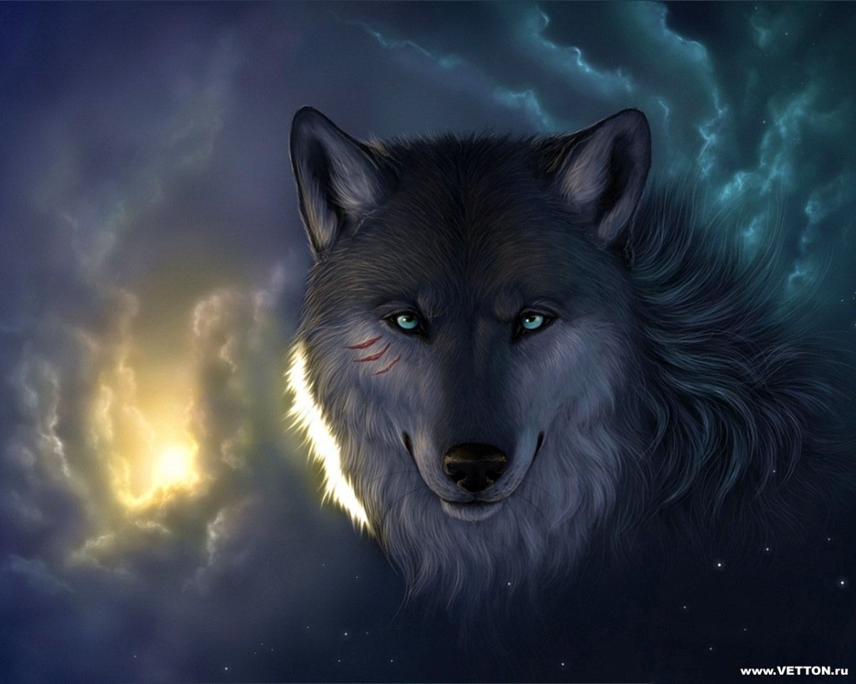 Волк с голубыми глазами