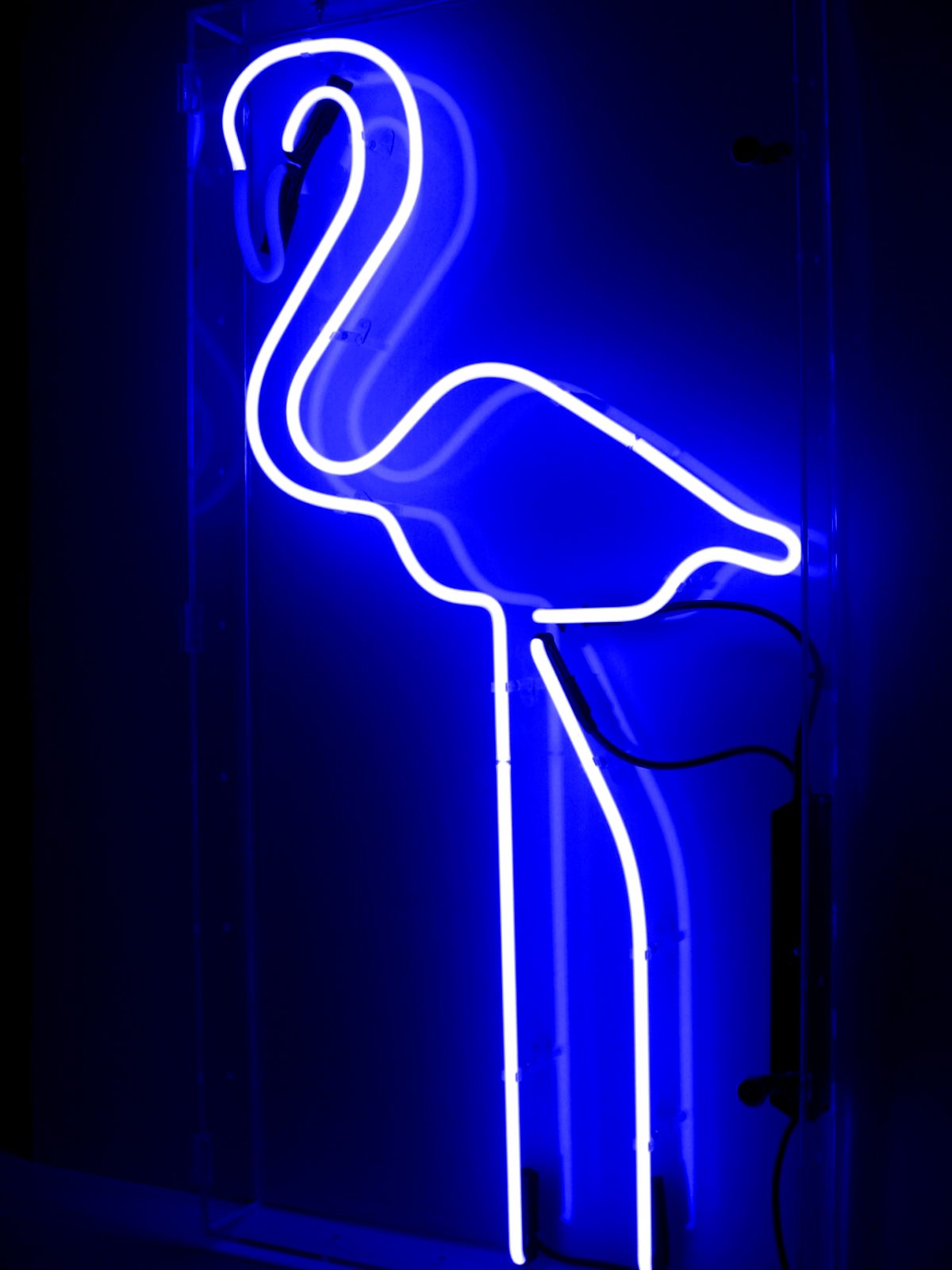 Неоновая вывеска Apple