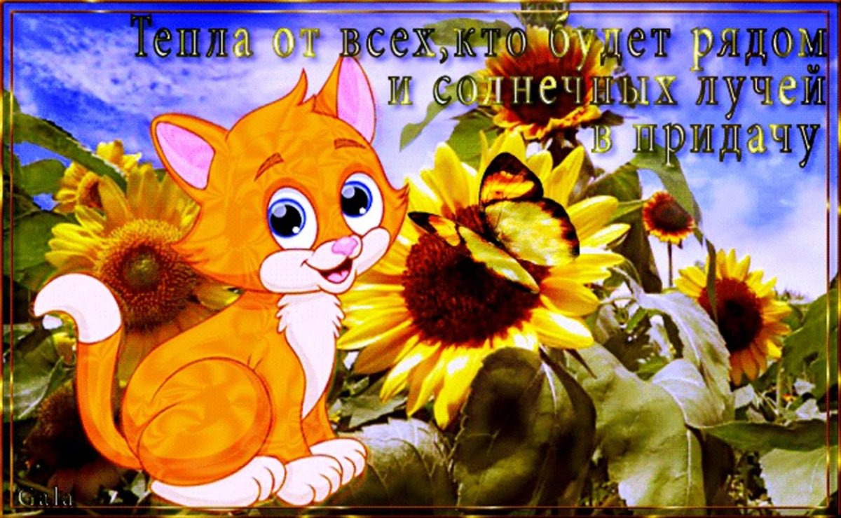 Солнечного настроения и удачи