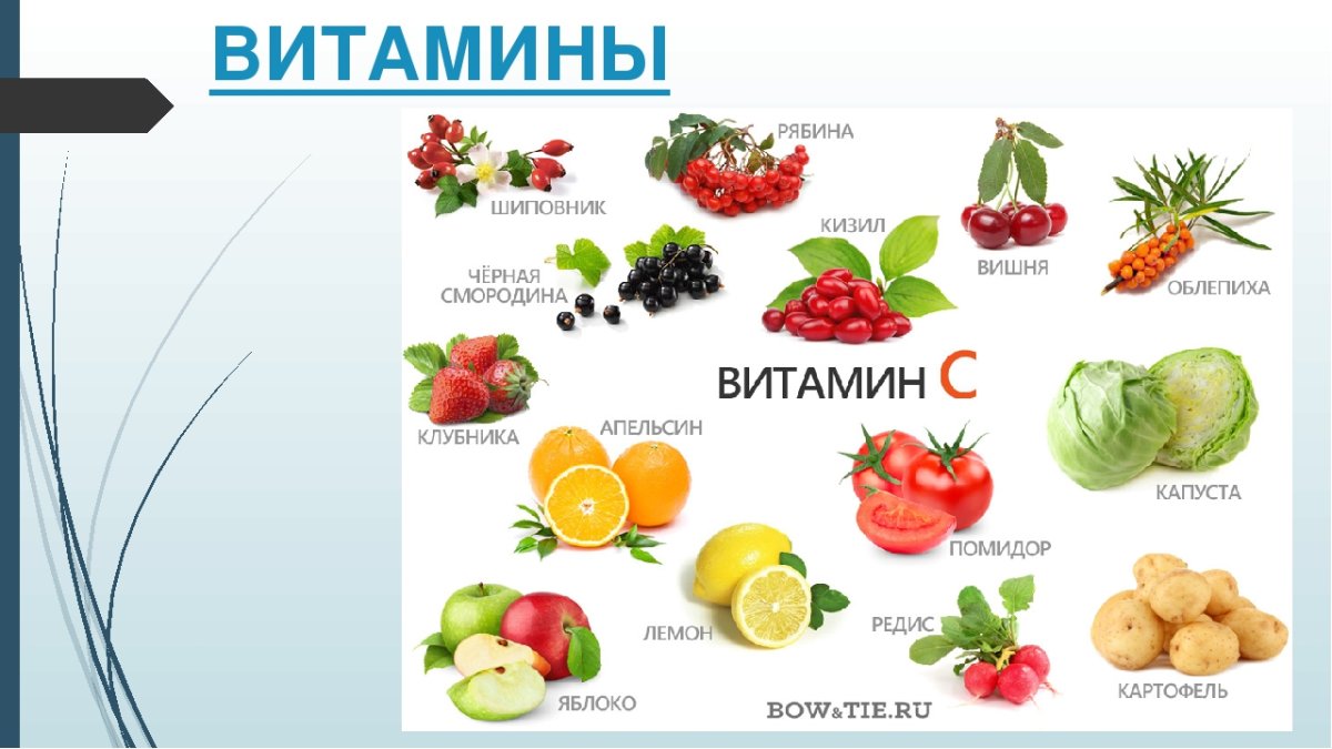 Веселые овощи и фрукты здоровое питание