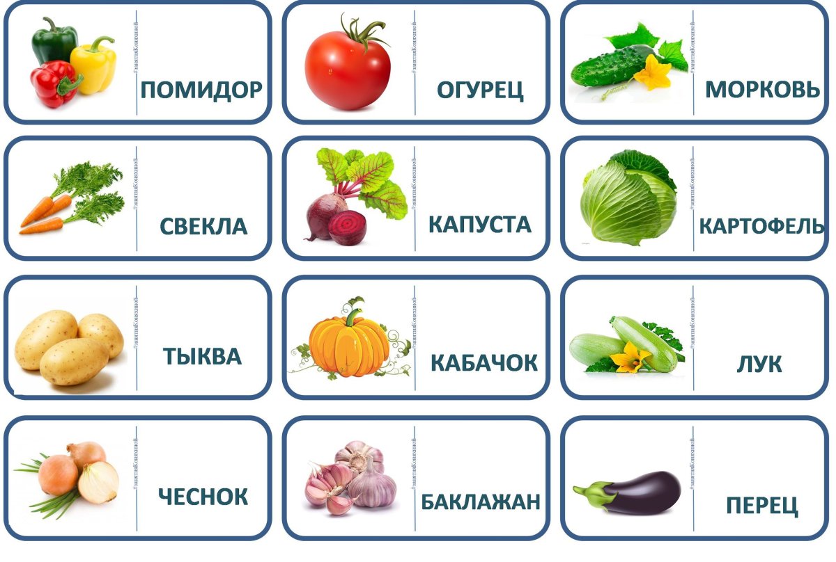 Овощи для детей