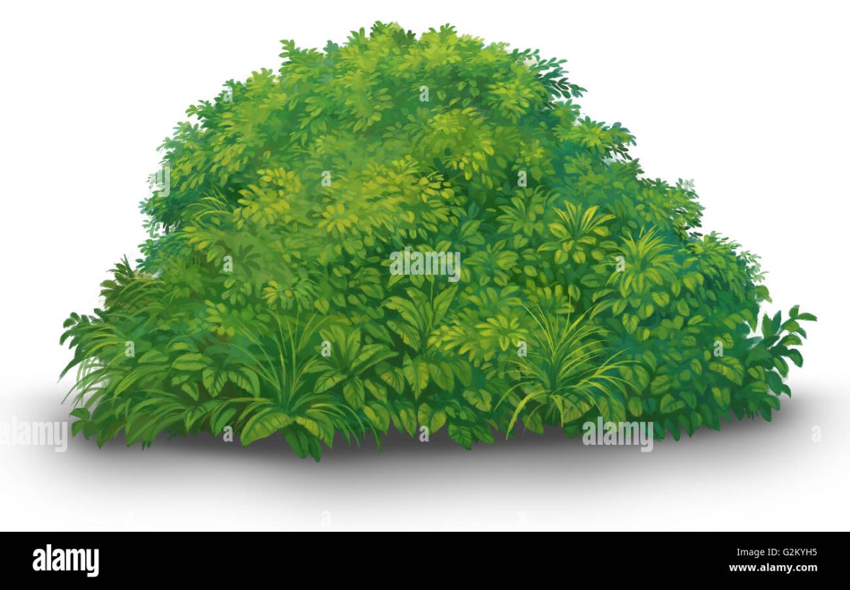 Кусты мультяшная для печати