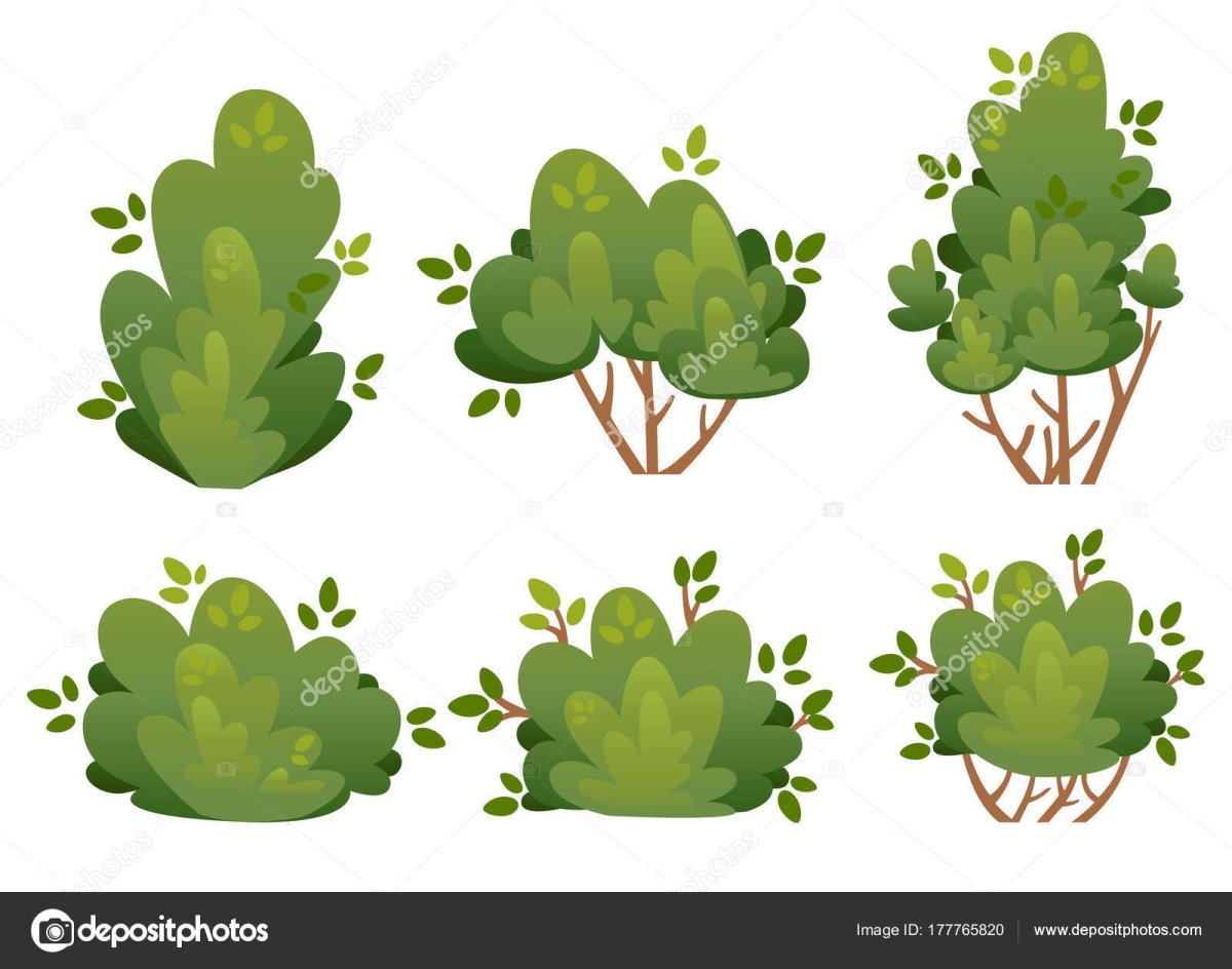 Кусты в иллюстраторе