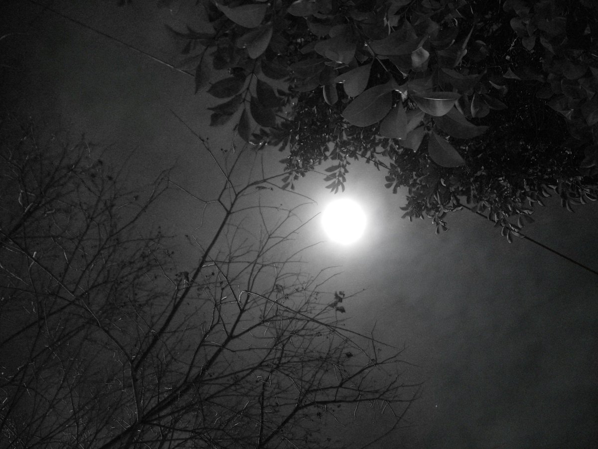 Ночной мрак