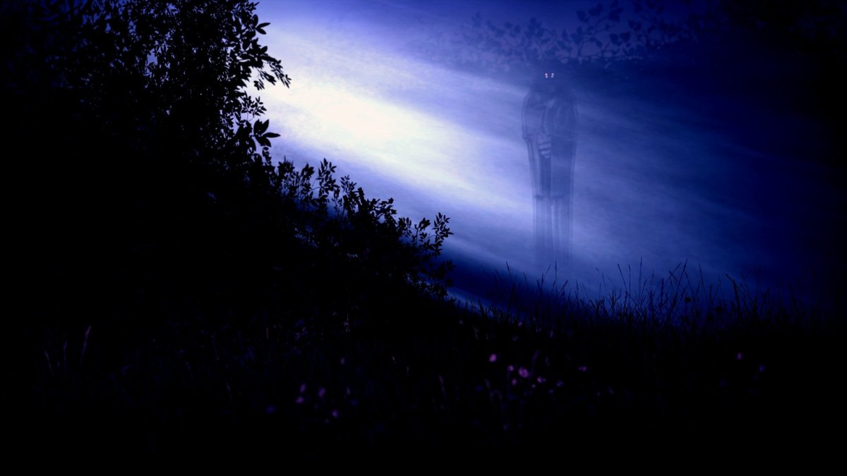 «Ночь в лесу»