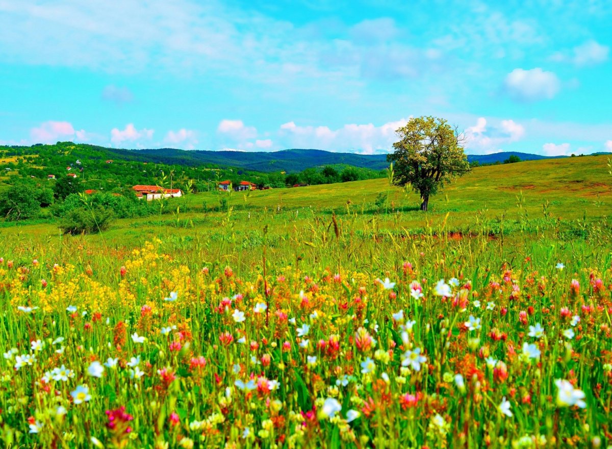 Луга Татарстана