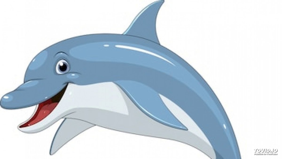 Дельфин мультяшный на белом фоне