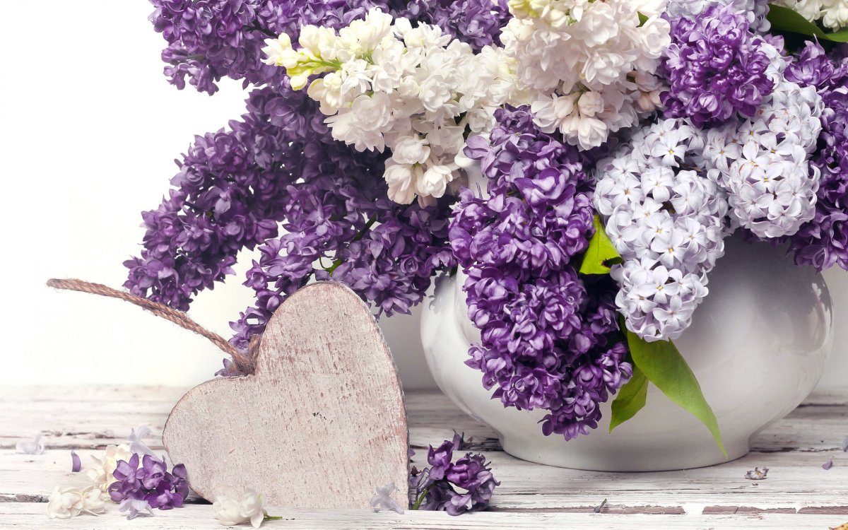 Настарин Гули