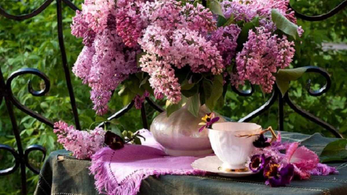 Доброе утро с букетом сирени