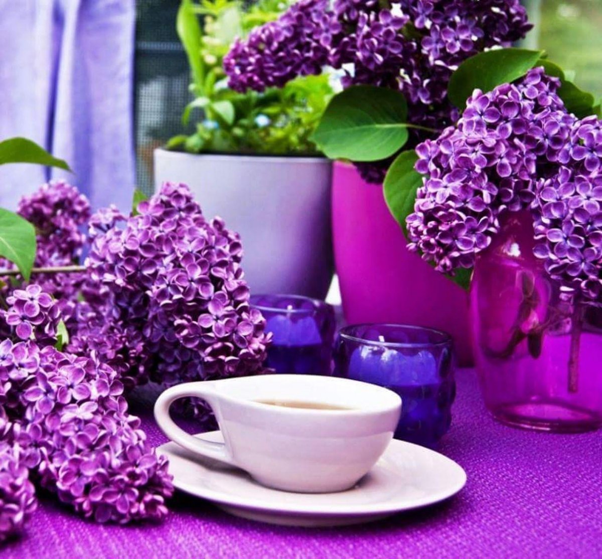 Доброе сиреневое утро