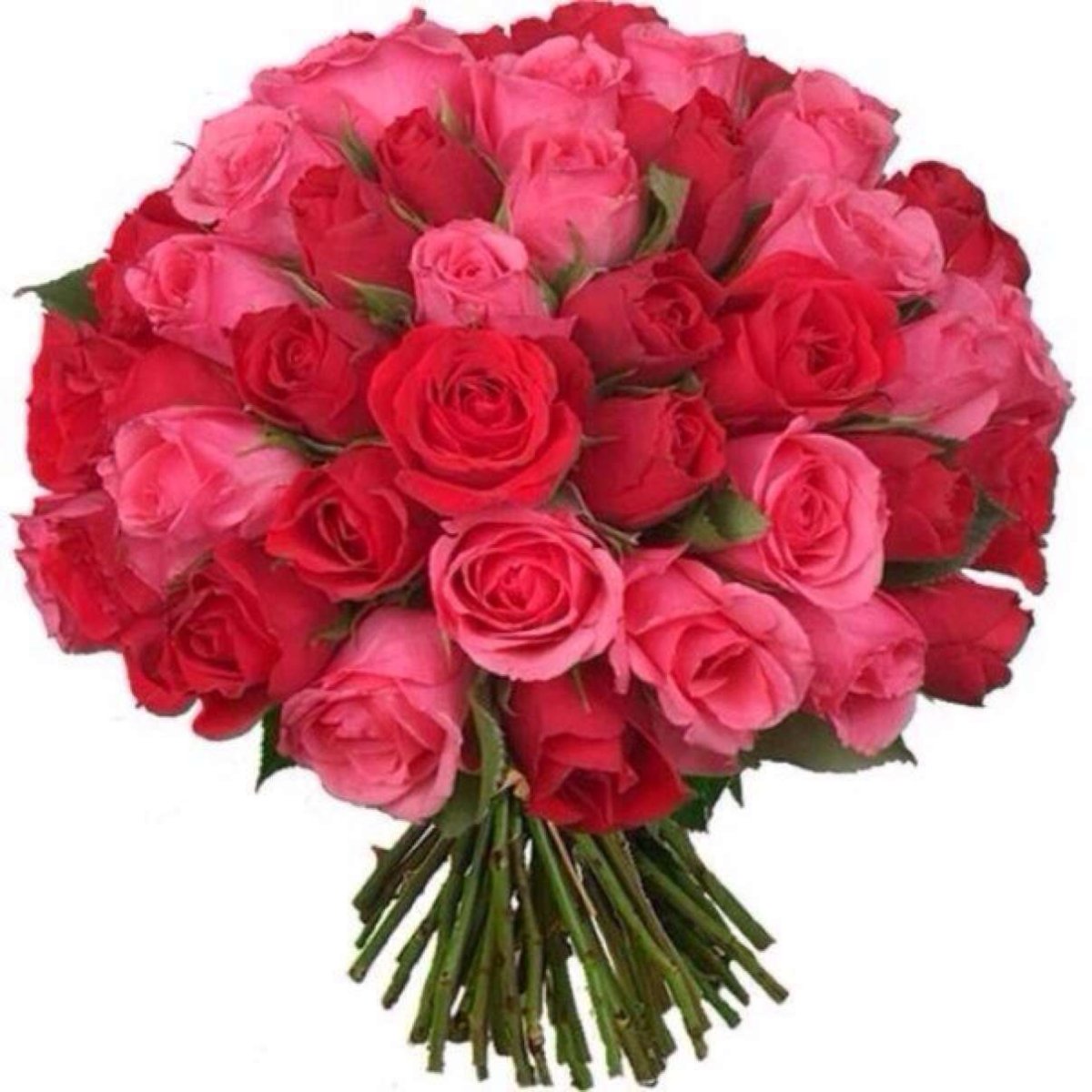 С днём рождения Нелли