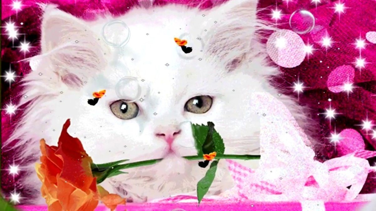 Букет цветов «день рождение»