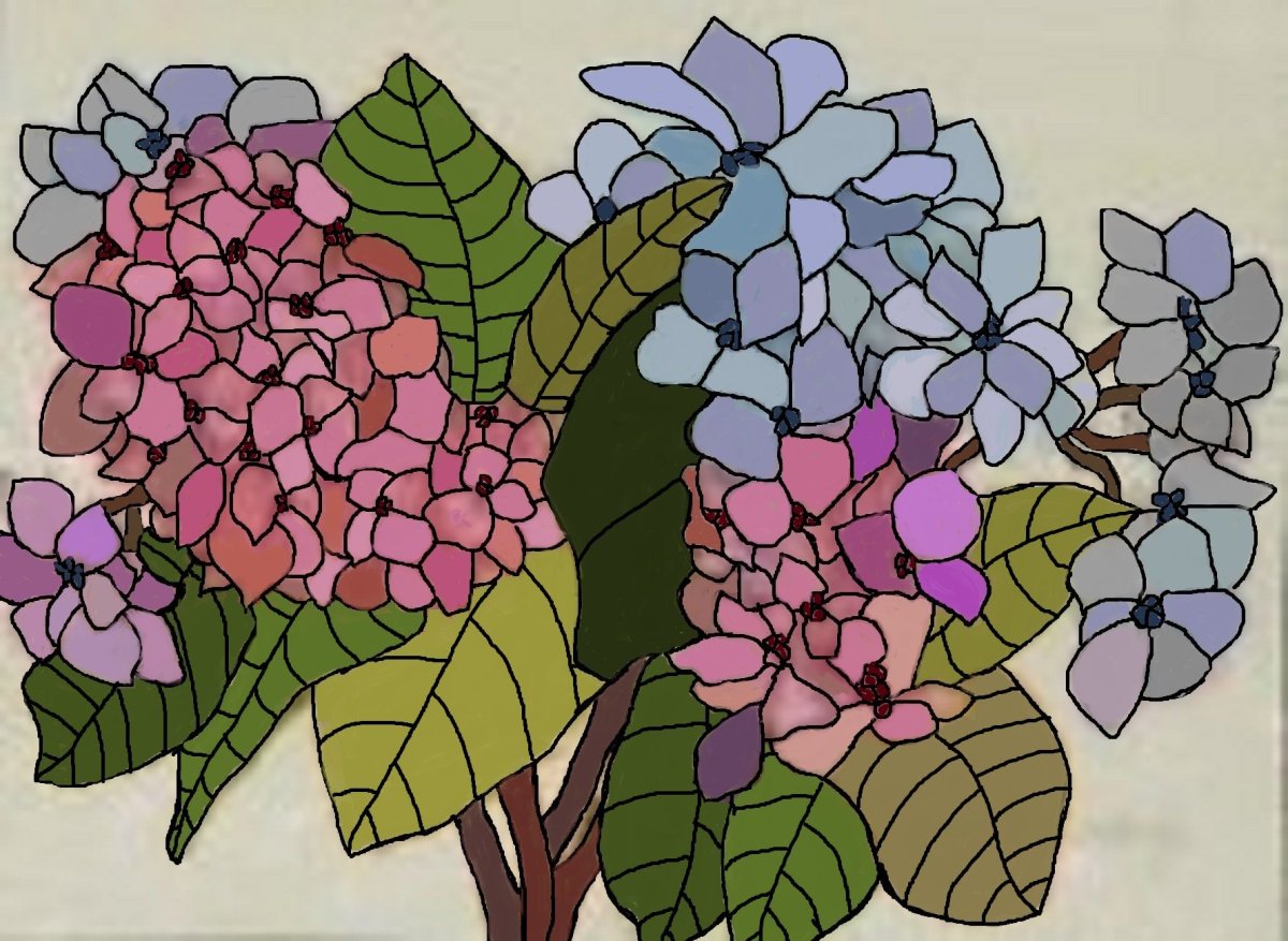 Кинусайга сирень