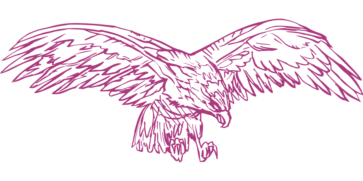 Белоголовый Орлан фурри