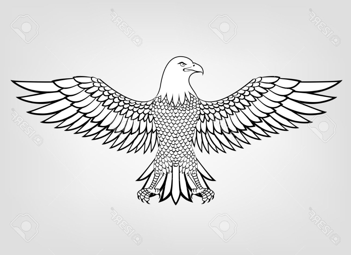 American Eagle vector