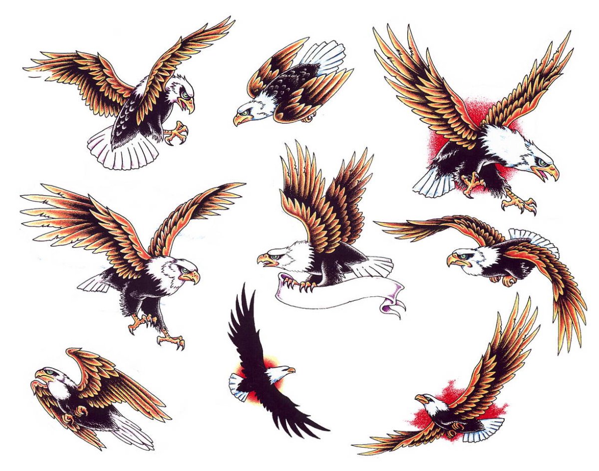 Орел сидит на ветке