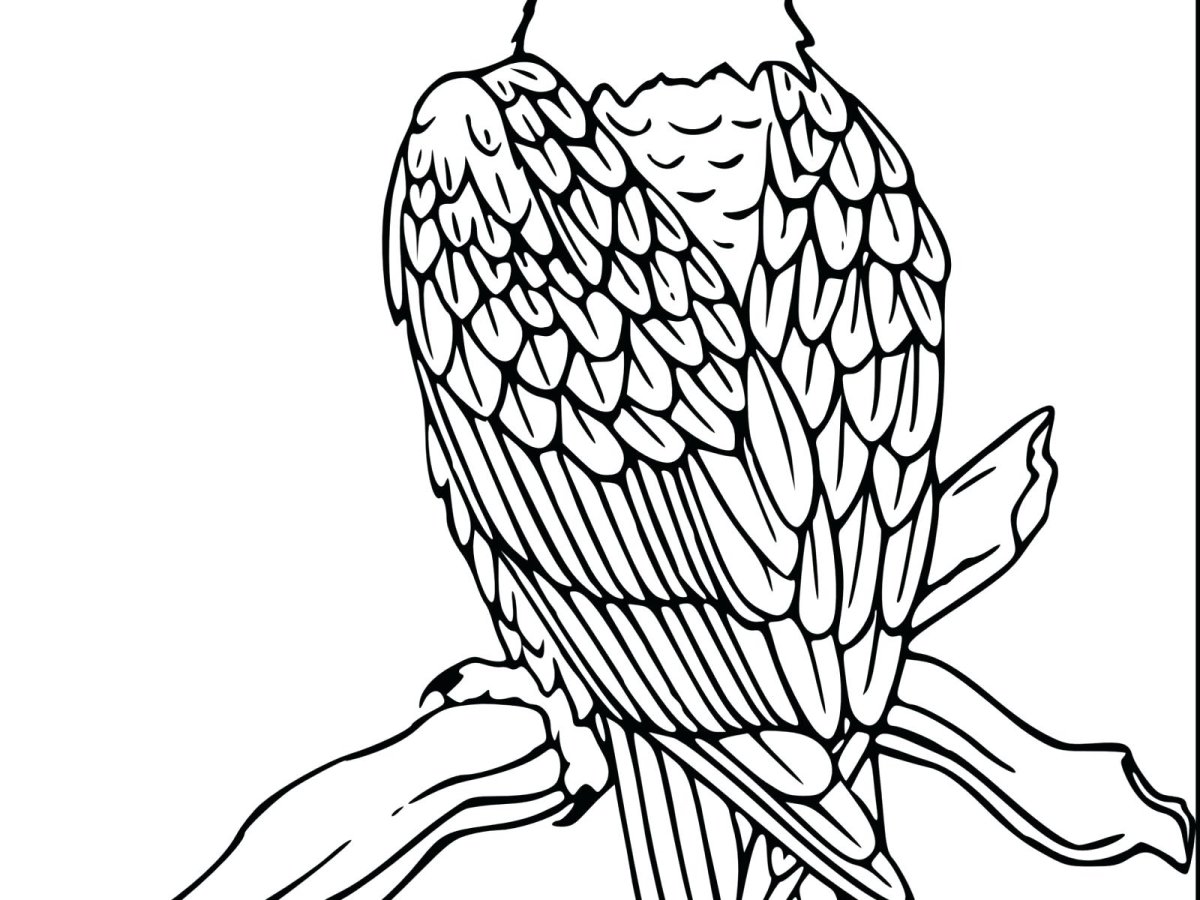 Коршун живопись