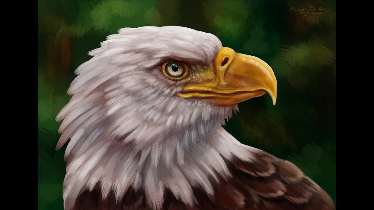 Орел тату эскиз