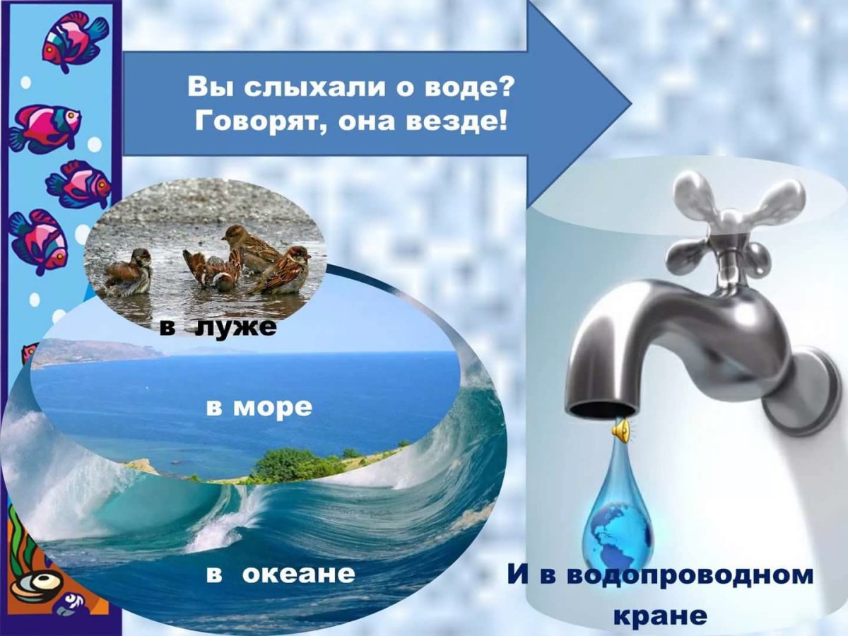 Международный день рек (International Day of Action for Rivers)