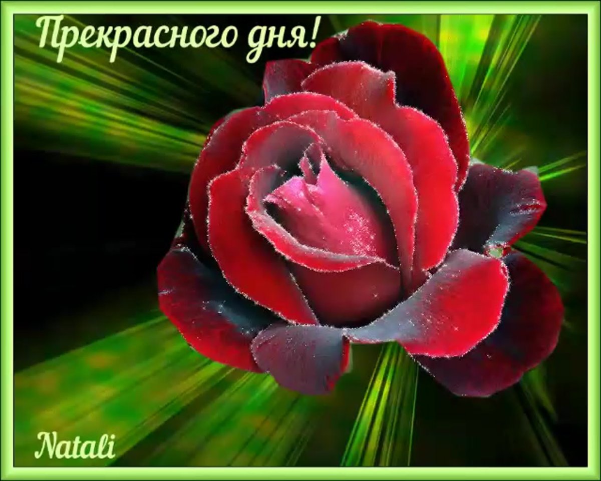 Прекрасный день