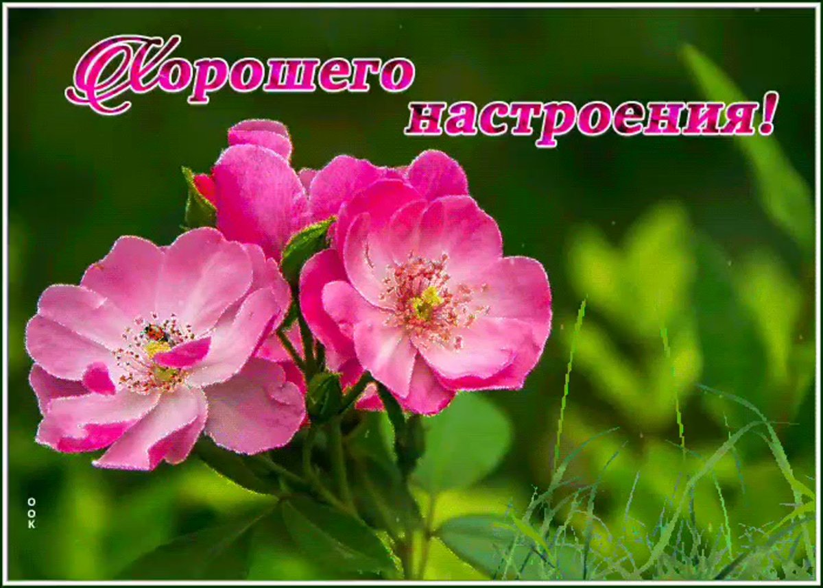 Открытка "яркого настроения"