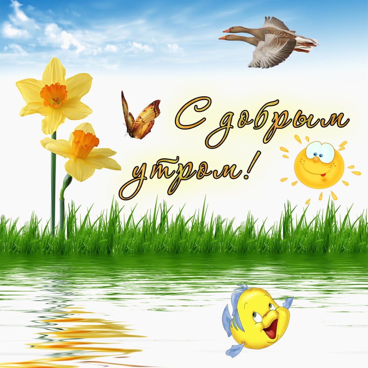 Открыта с добрым утром