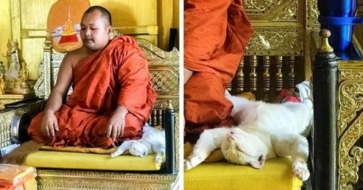 Цитаты о просветлении